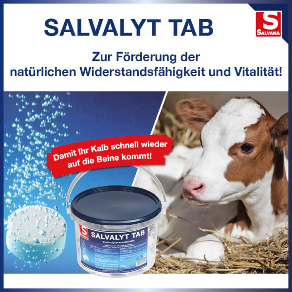 Salvalyt Tab- elektrolit pótló pezsgőtabletta