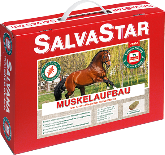 Salvana Muskelaufbau-izomerősítő, izomépítő készítmény lovak részére