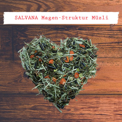 Salvana Magen-Struktur Müzli Salvana Magen-Struktur Müzli