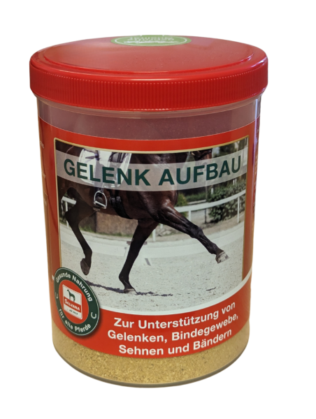 Salvana Gelenk AUFBAU- Glükozamin és MSM pótló 0,6 kg