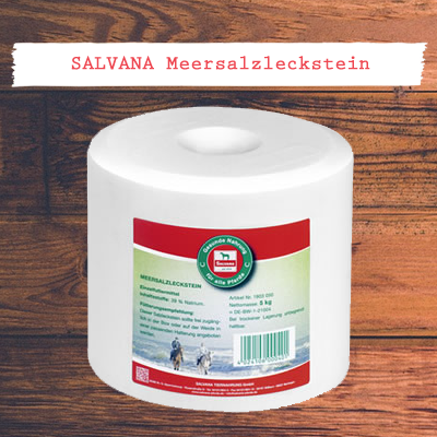 SALVANA Meersalzleckstein