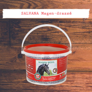 Salvana Magen-drazsé - gyomorproblémák hosszútávú elkerülésére
