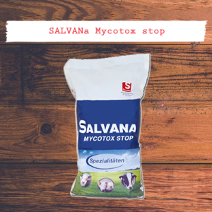 SALVANA Mycotox stop-toxinkötő