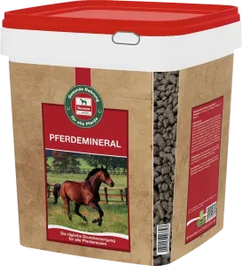 Salvana Pferdemineral 8 kg